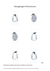 017 pinguin partnersuche einfach.pdf